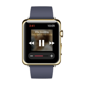 Watch Steel Case Apple